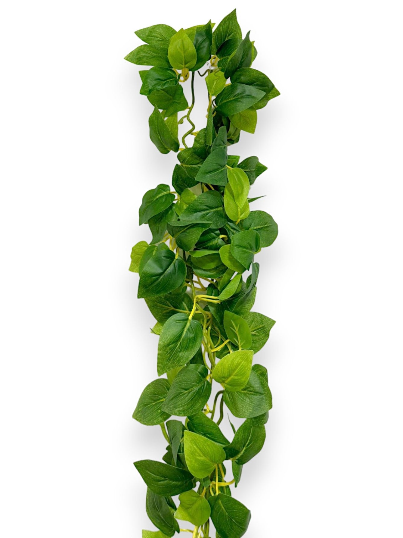 POTHOS GARLAND 2PCS