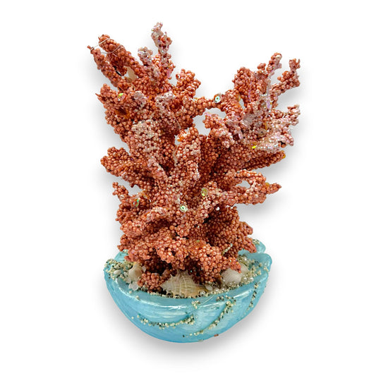 CORAL ON SHELL 13"