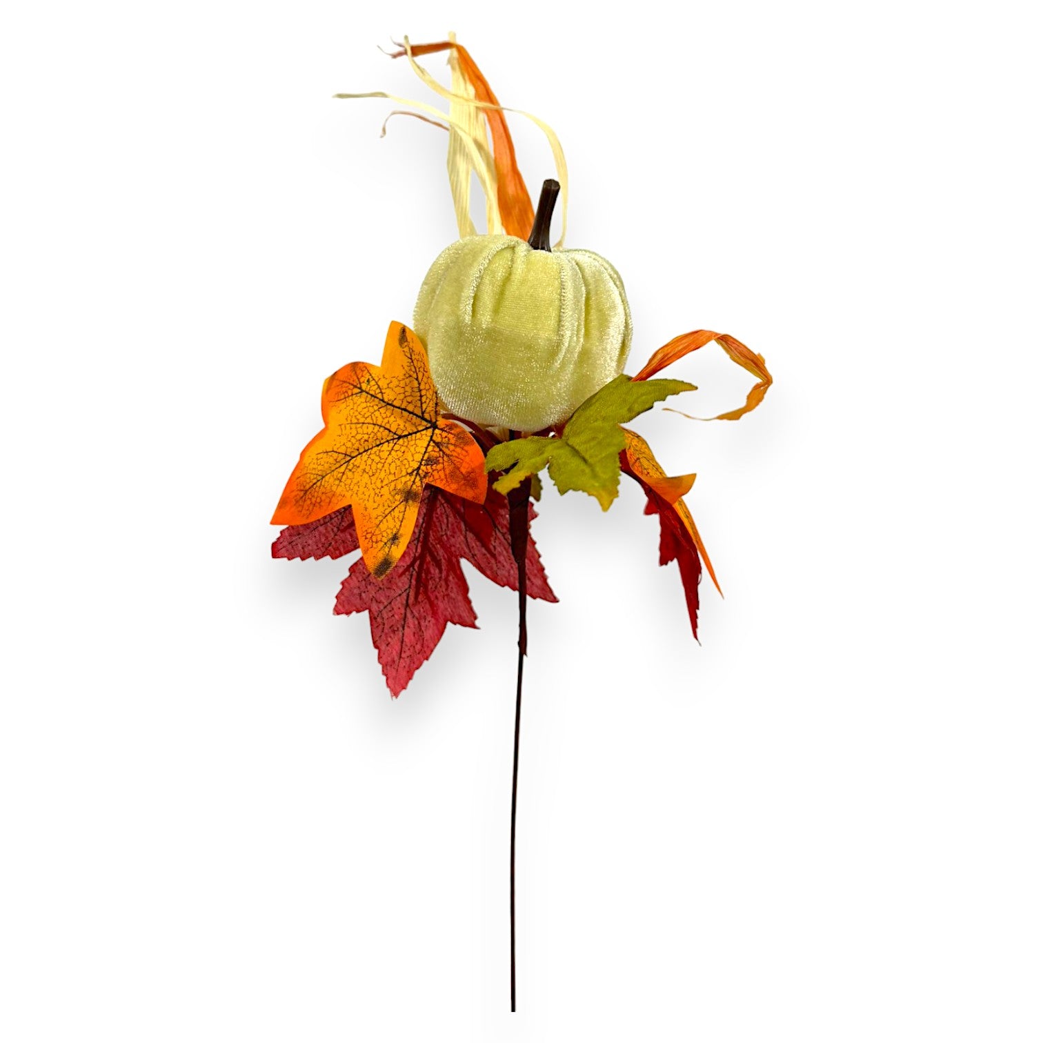 PUMPKIN PICK