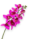 CYMBIDIUM 39"