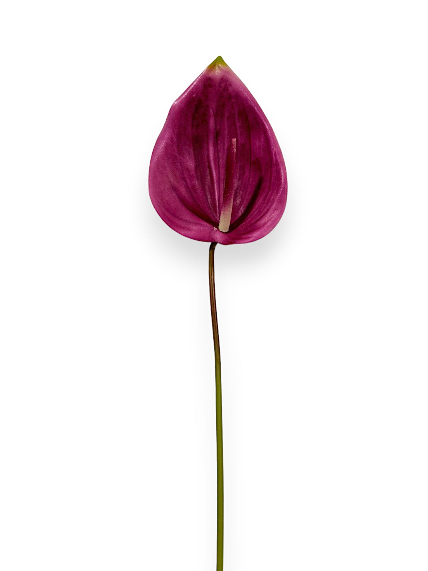 Anthurium Stem 25"