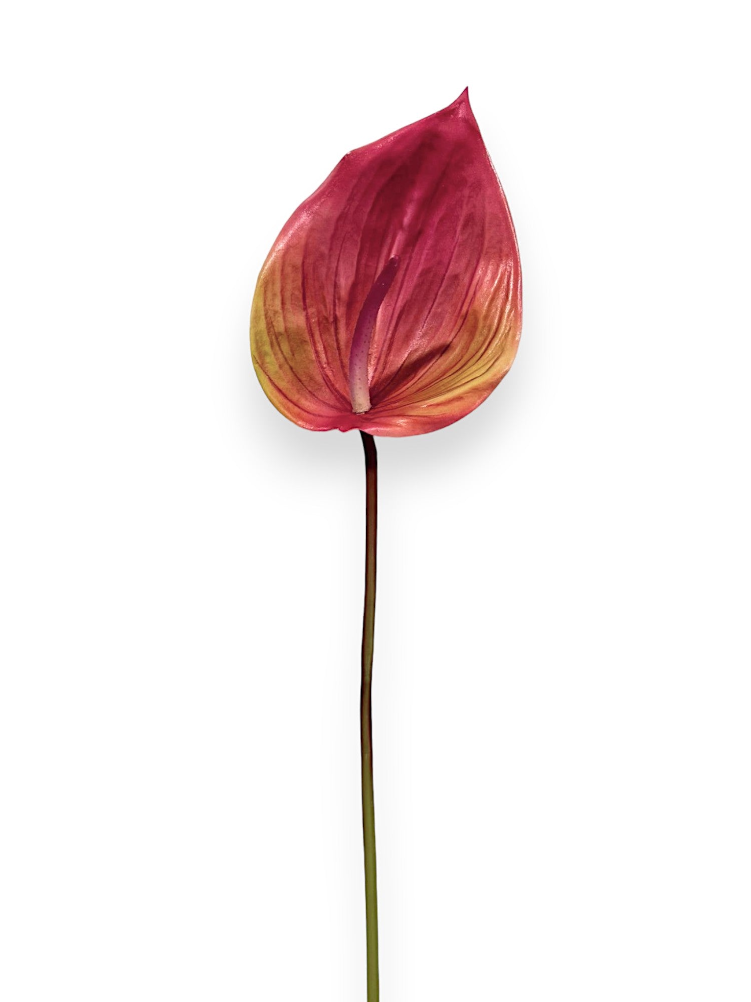 Anthurium Stem 25"