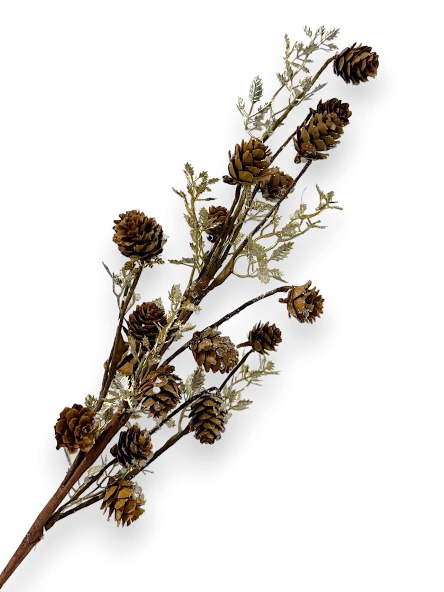 XMS PINECONE SPRAY GD 24"