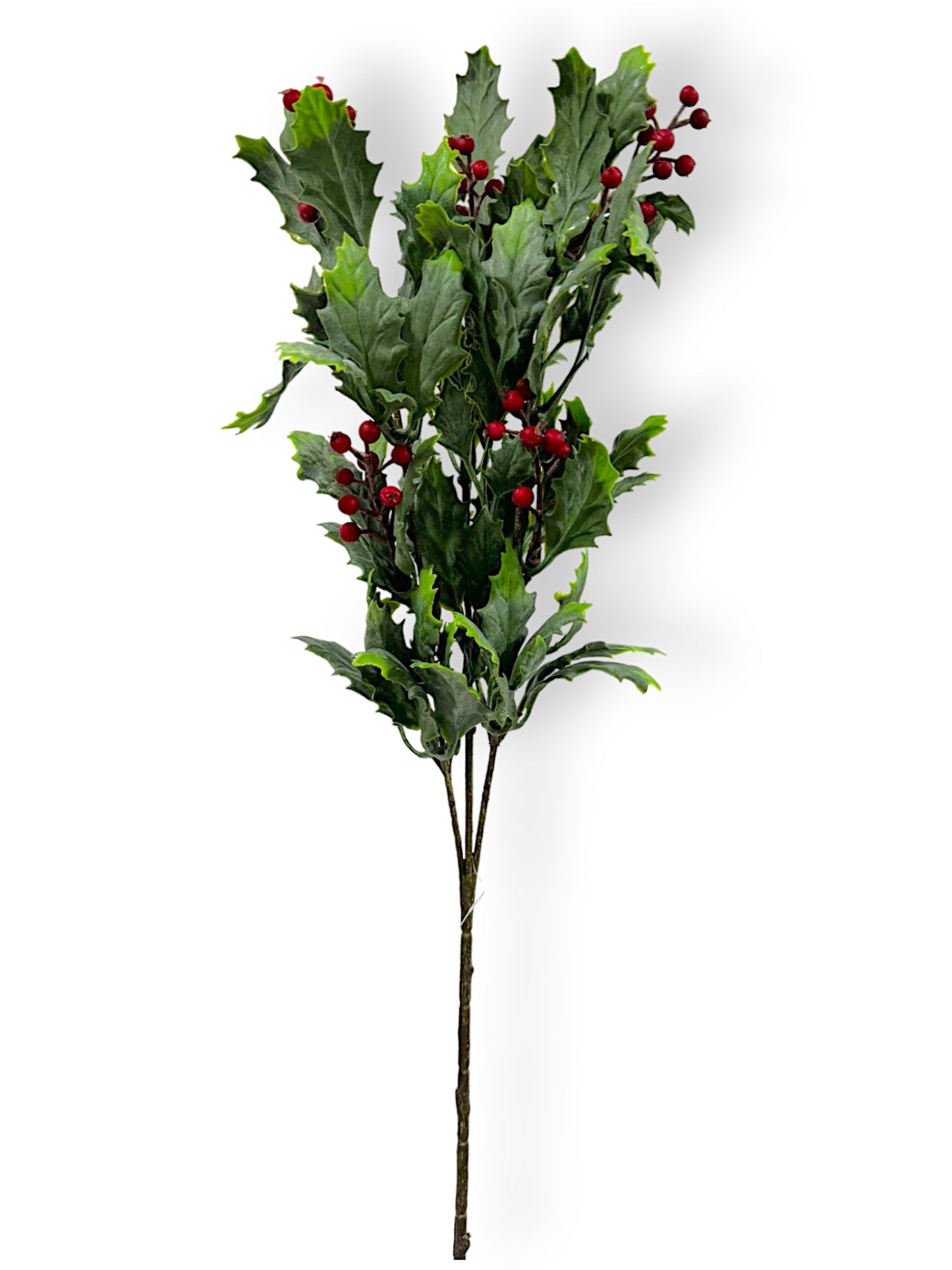 WINTER HOLLY BRY SPR 30"