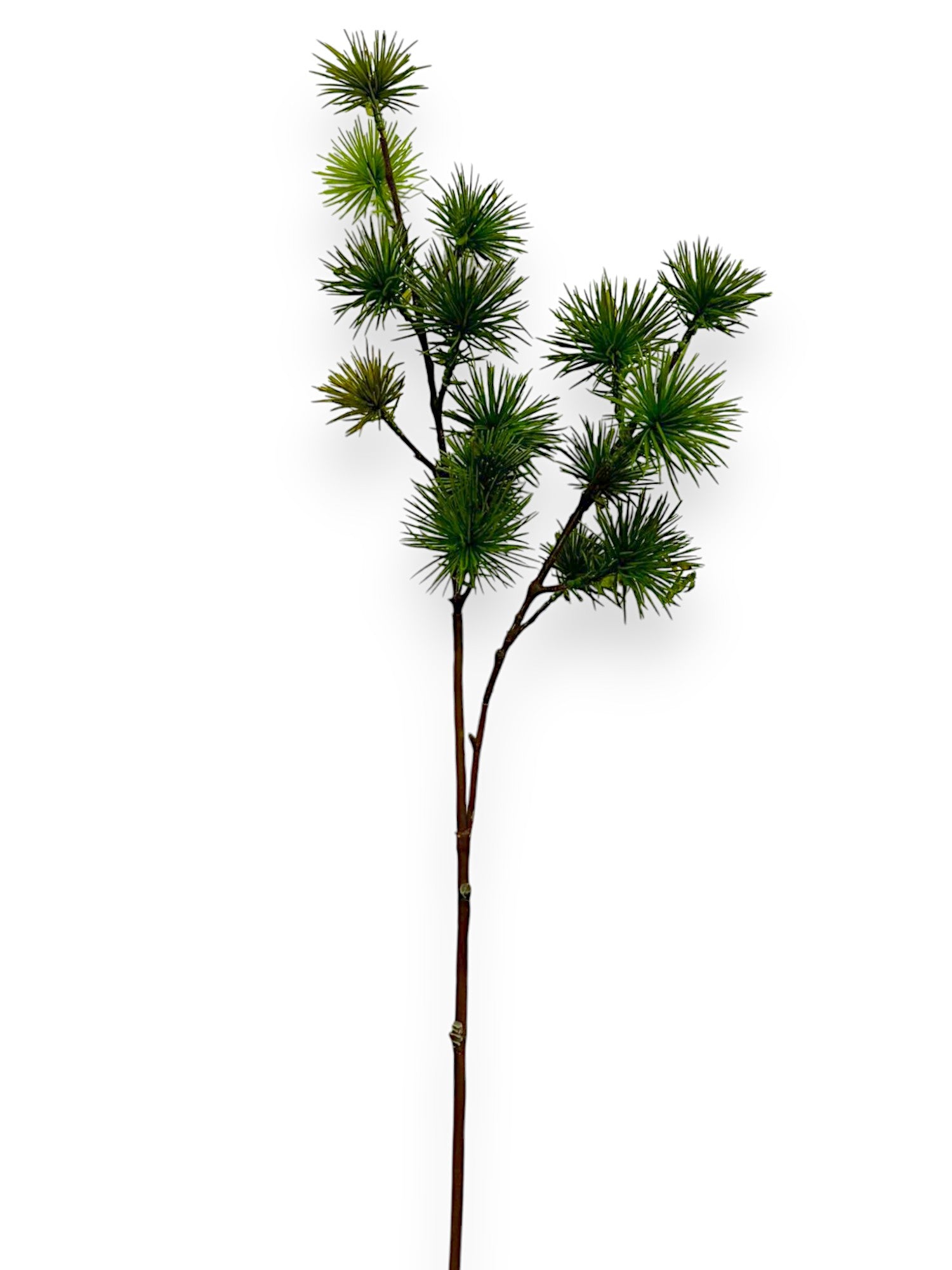 Pines – Chan's Silk Flowers, inc