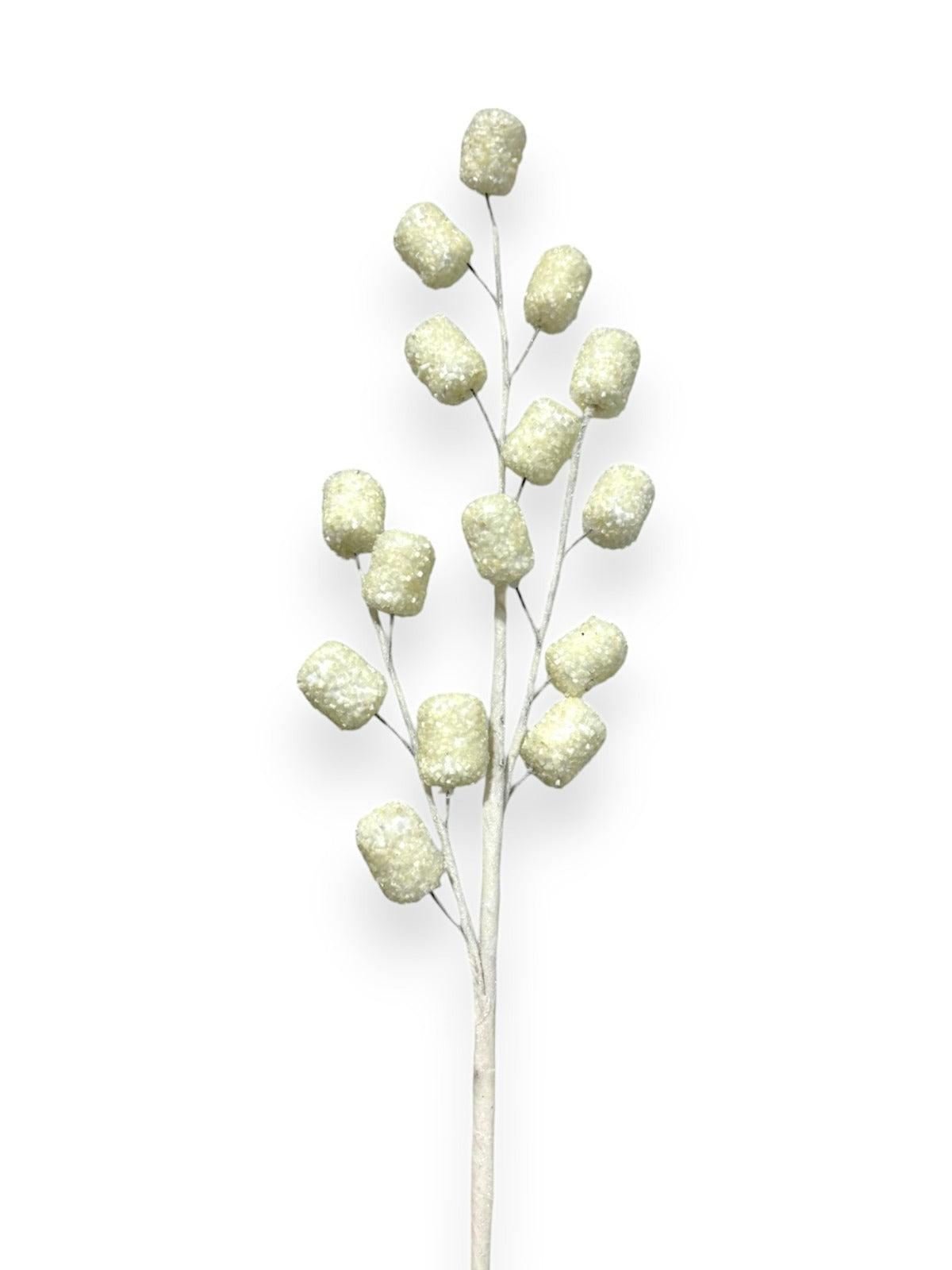 MARSHMALLOW SPRX15 GLT