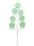 CANDY X7 SPRAY