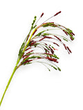 XMS GLT SPRAY 35"