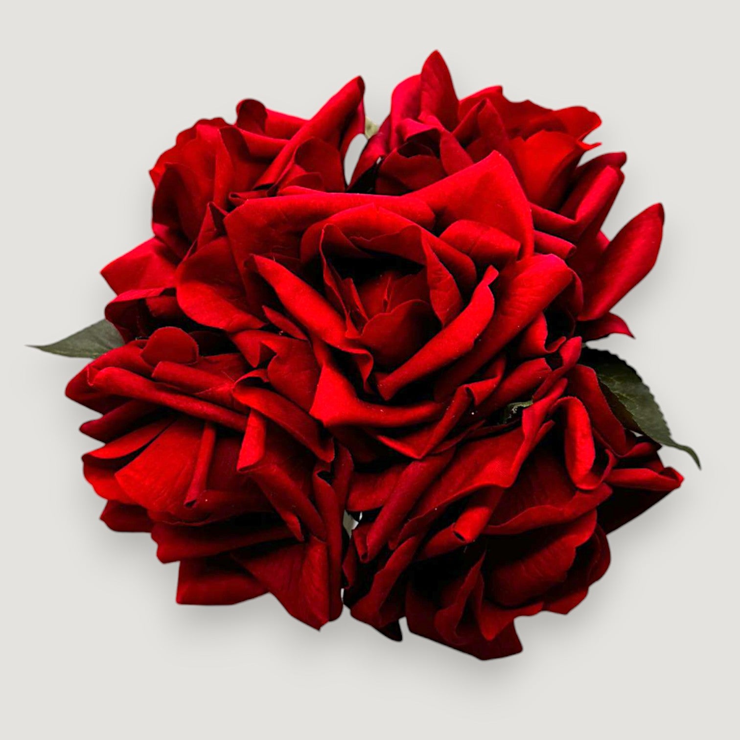 NATURAL TOUCH ROSE BUNDLE  X5