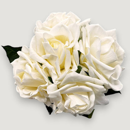 NATURAL TOUCH ROSE BUNDLE  X5