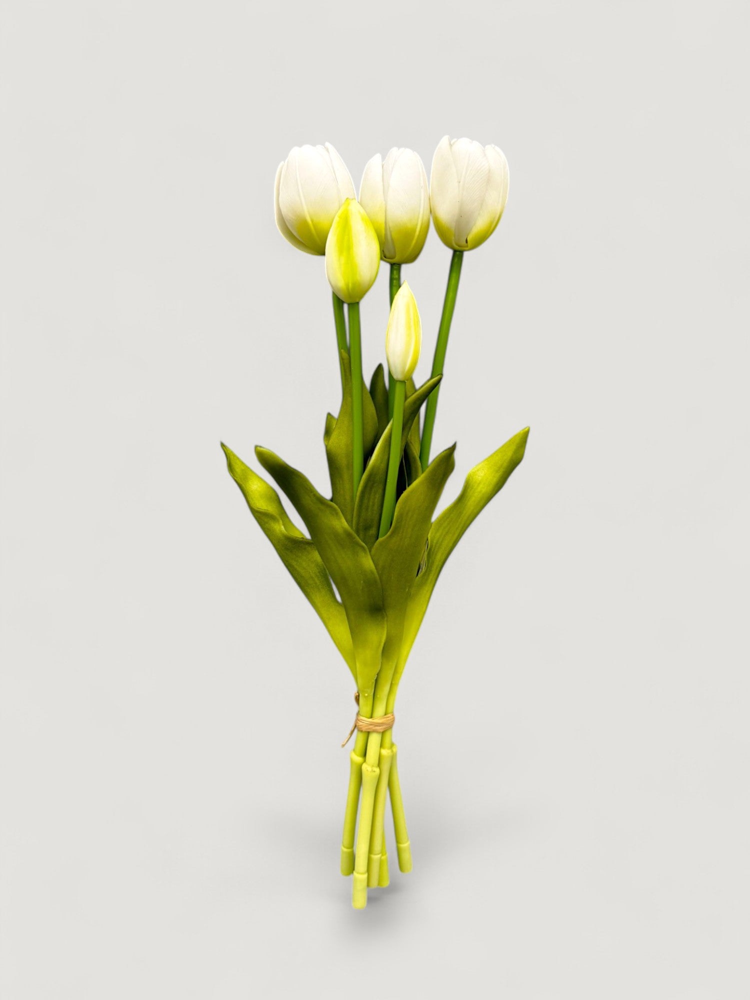 TULIP BUNDLE