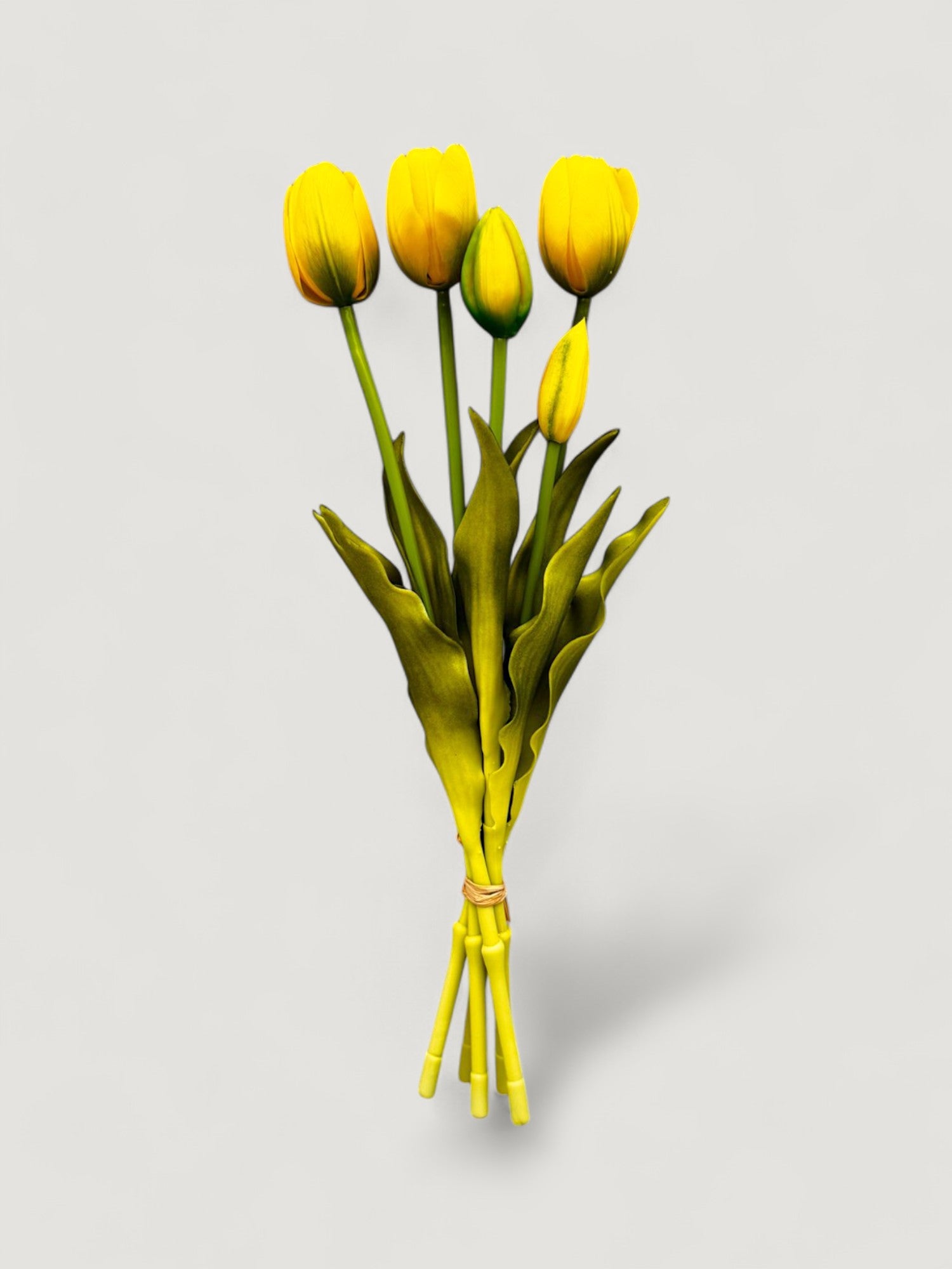 TULIP BUNDLE