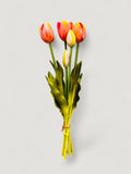 TULIP BUNDLE