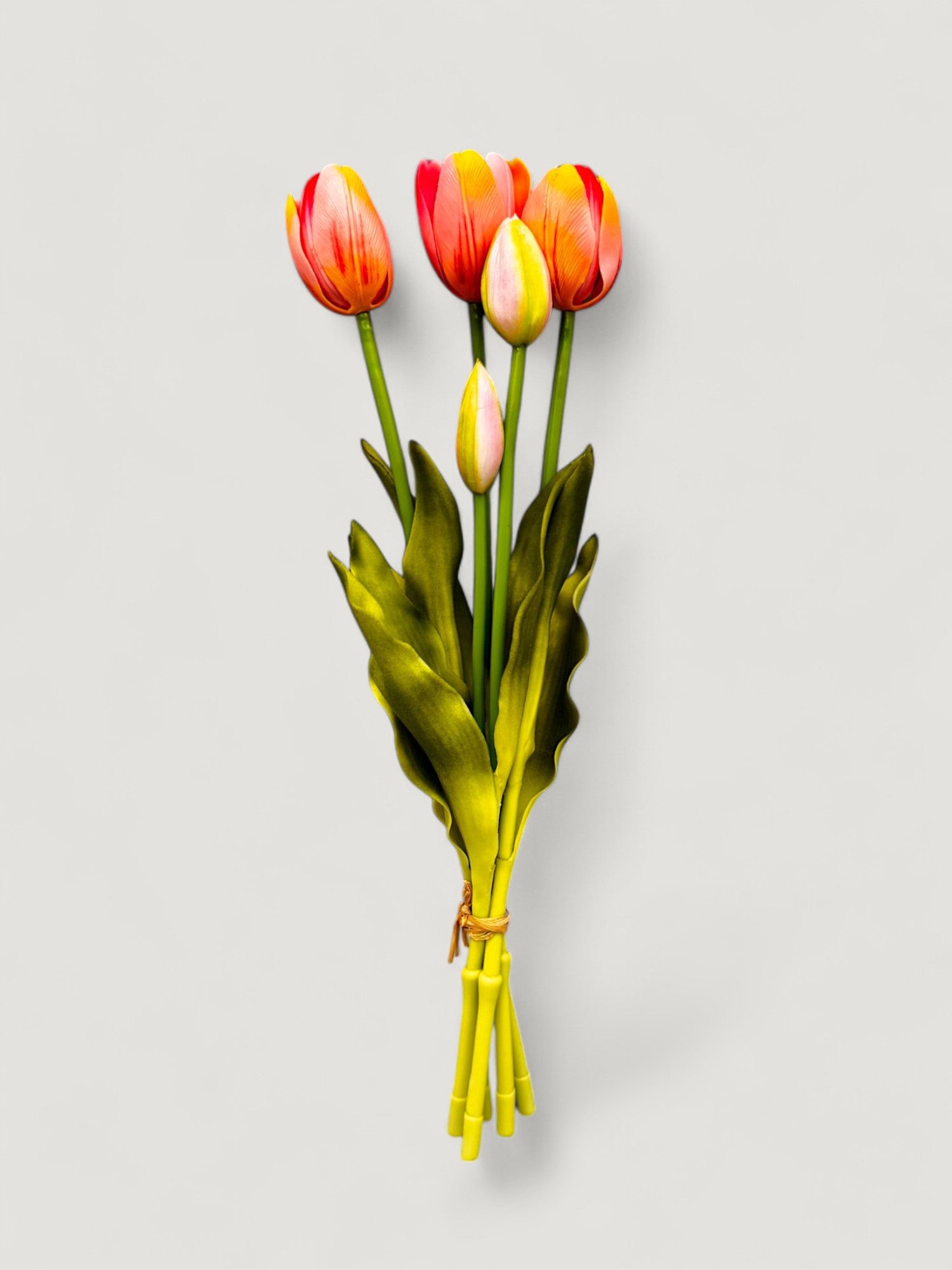TULIP BUNDLE