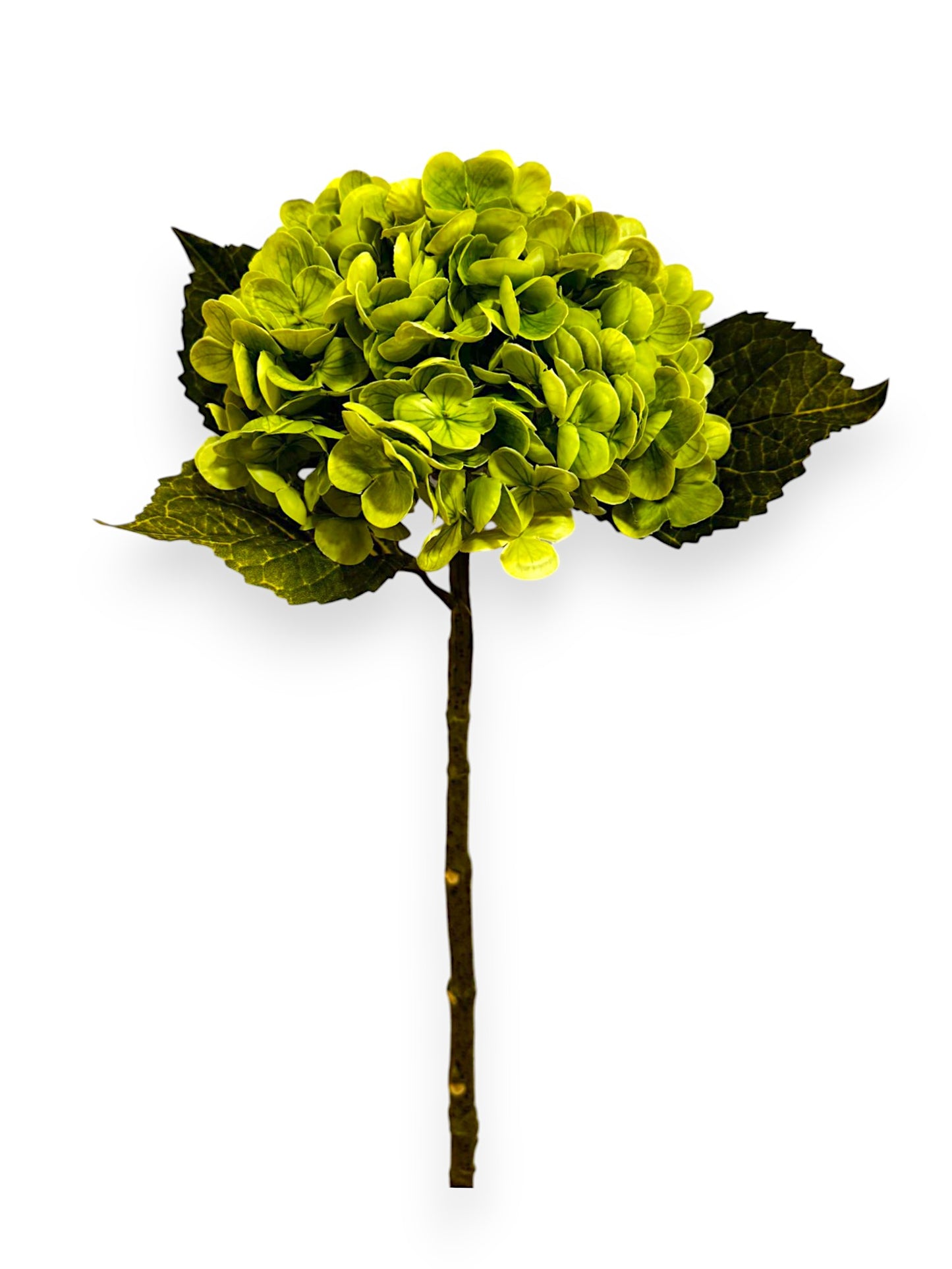 HYDRANGEA REAL TOUCH STEM 22"