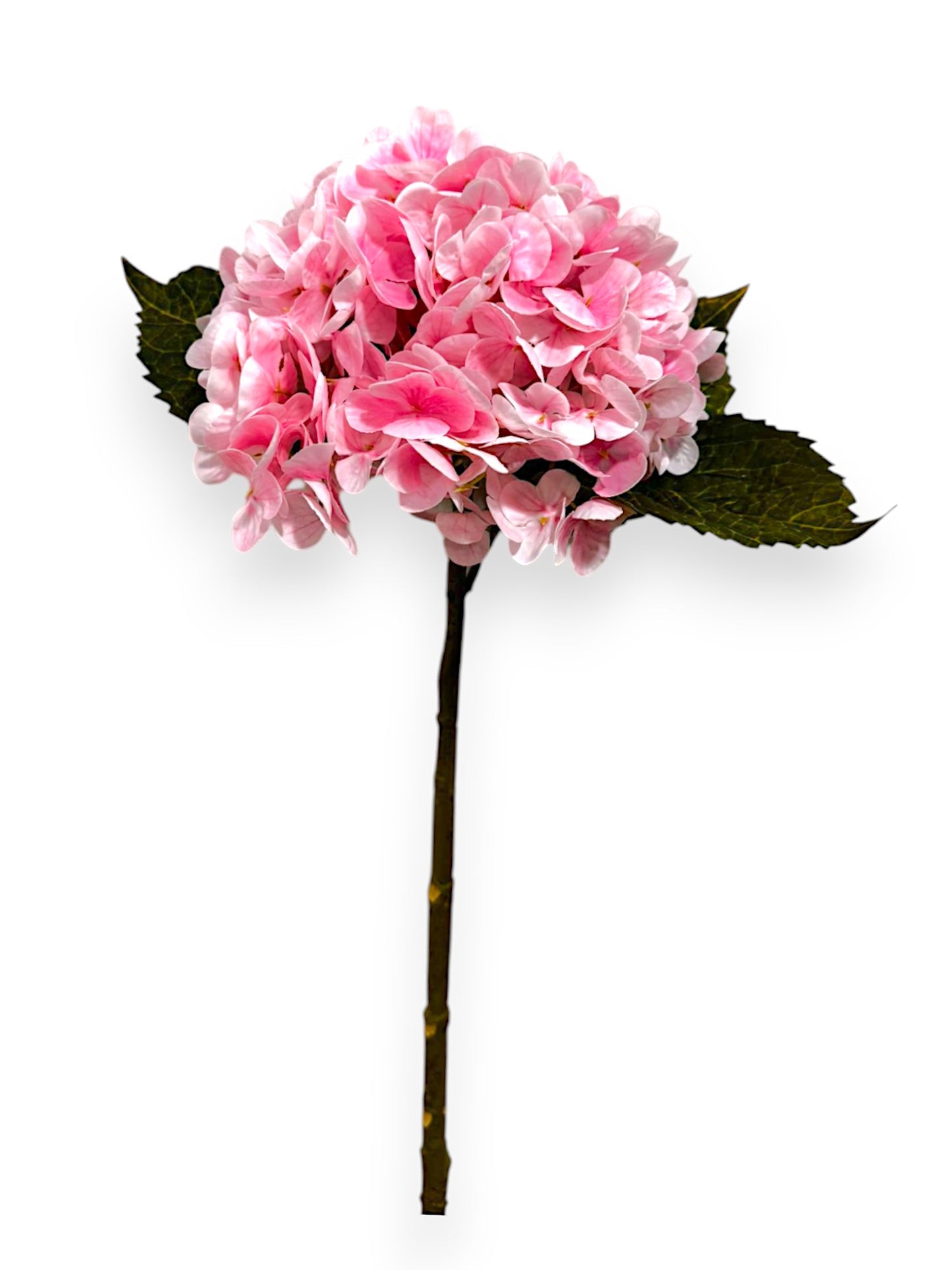 HYDRANGEA REAL TOUCH STEM 22"