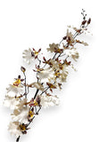 ORCHID DANCING L 40"