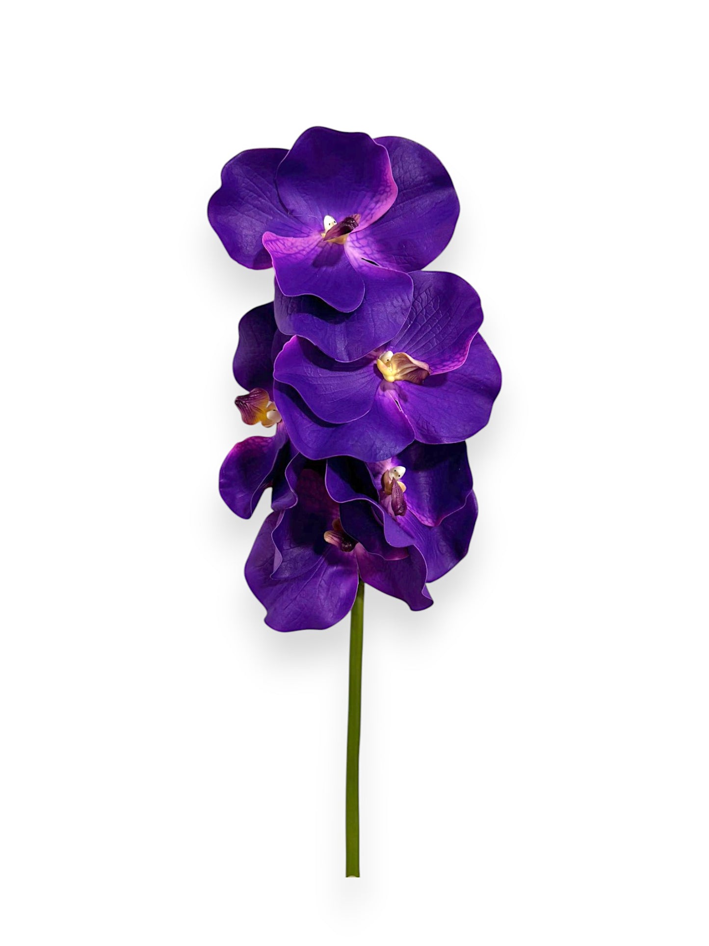 ORCHID VANDA 14"