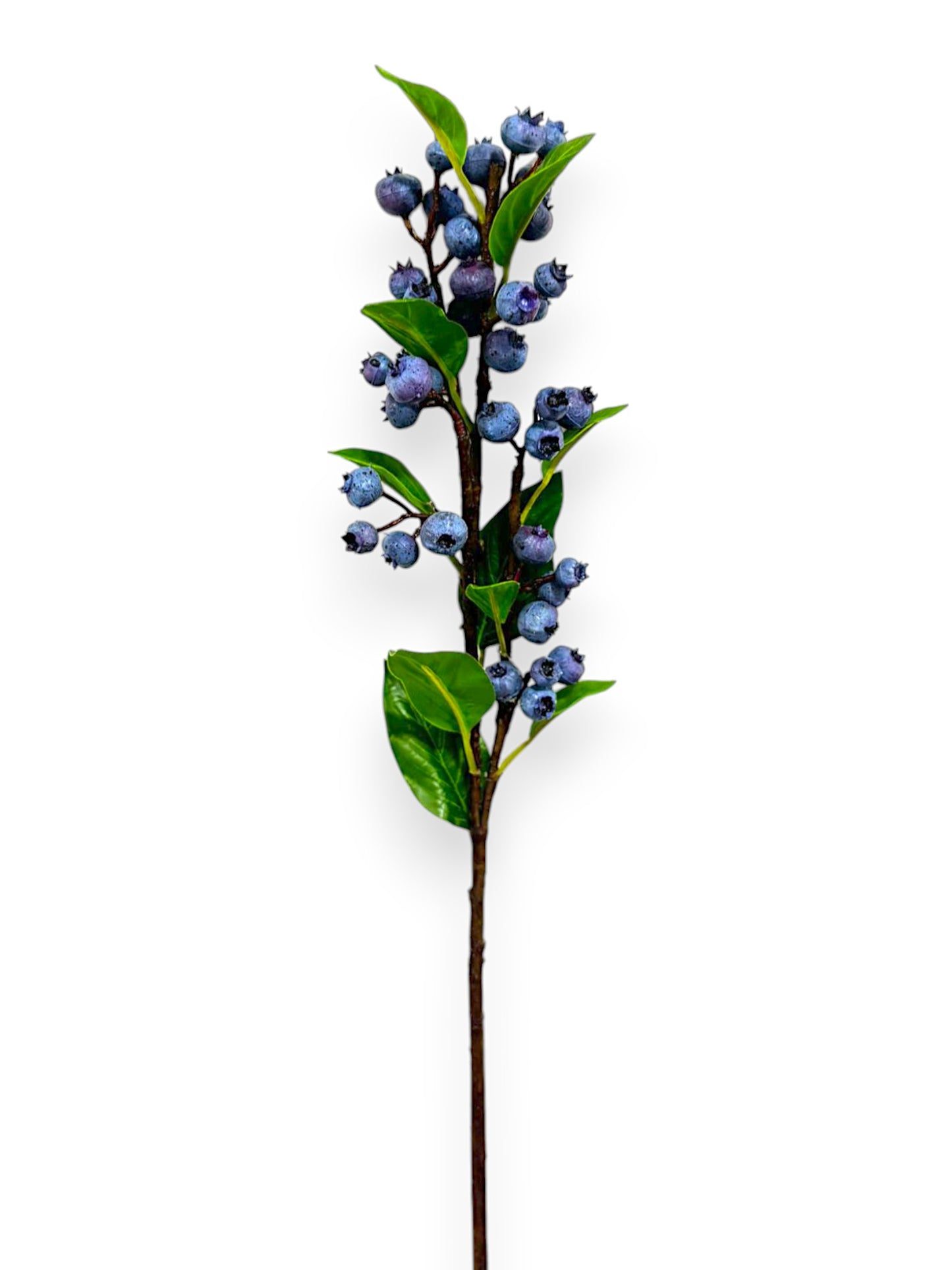 BLUEBERRY SPRAY 22"