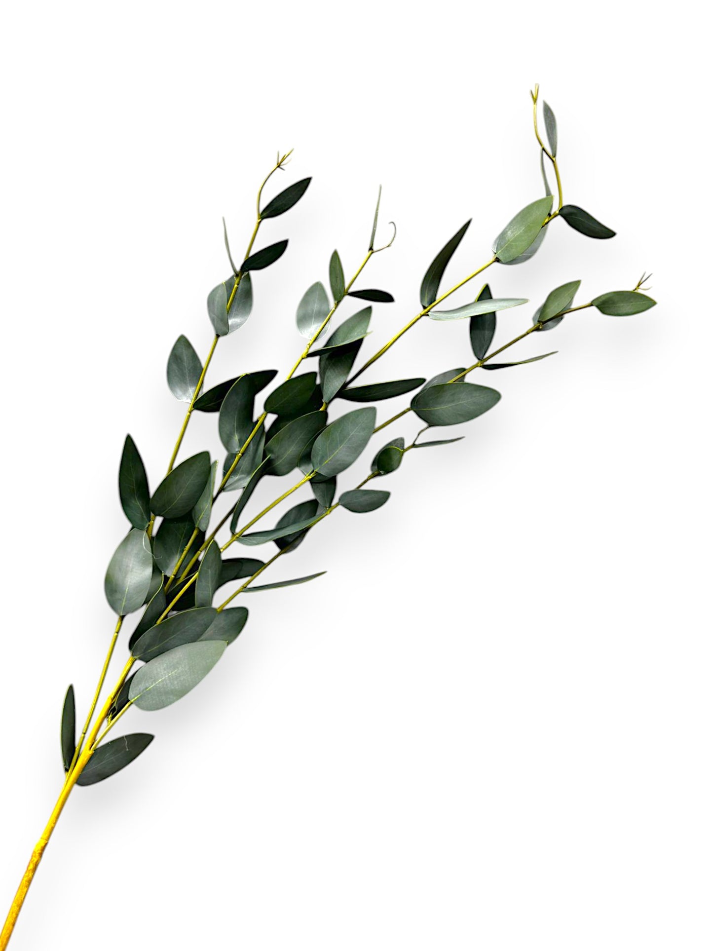 EUCALYPTUS SPRAY 30"