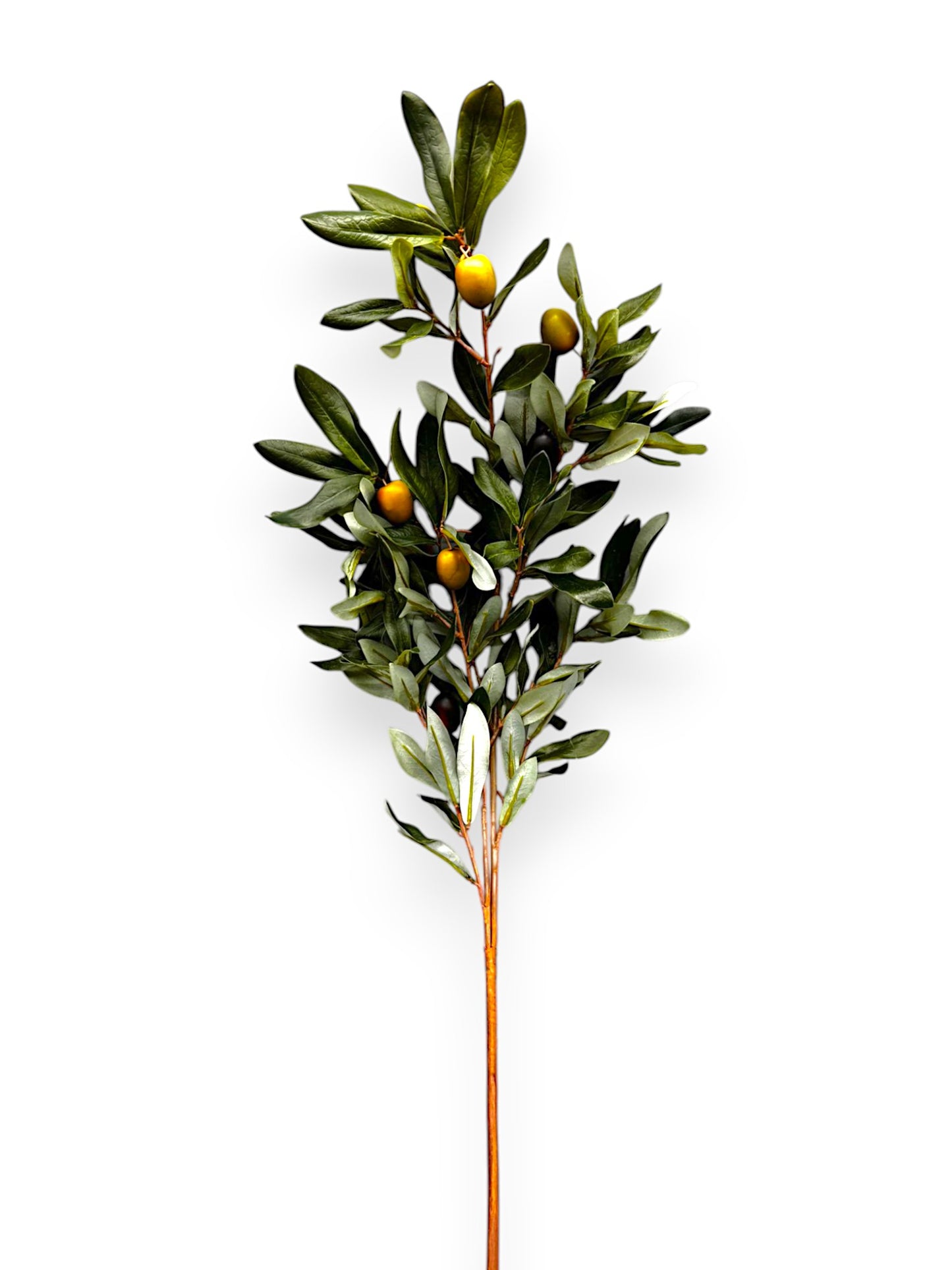 OLIVE LEAF BRANCH 30"