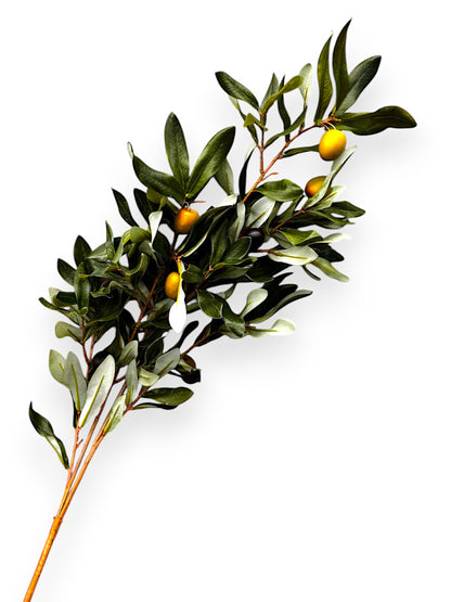 OLIVE LEAF BRANCH 30"