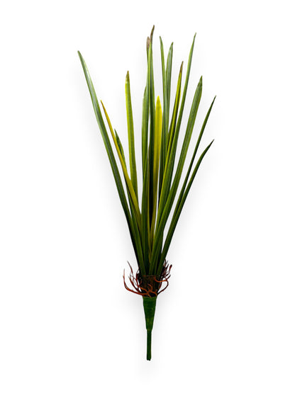 ORCHID FOLIAGE PLANT 13"