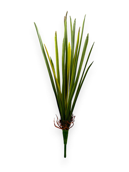 ORCHID FOLIAGE PLANT 13"