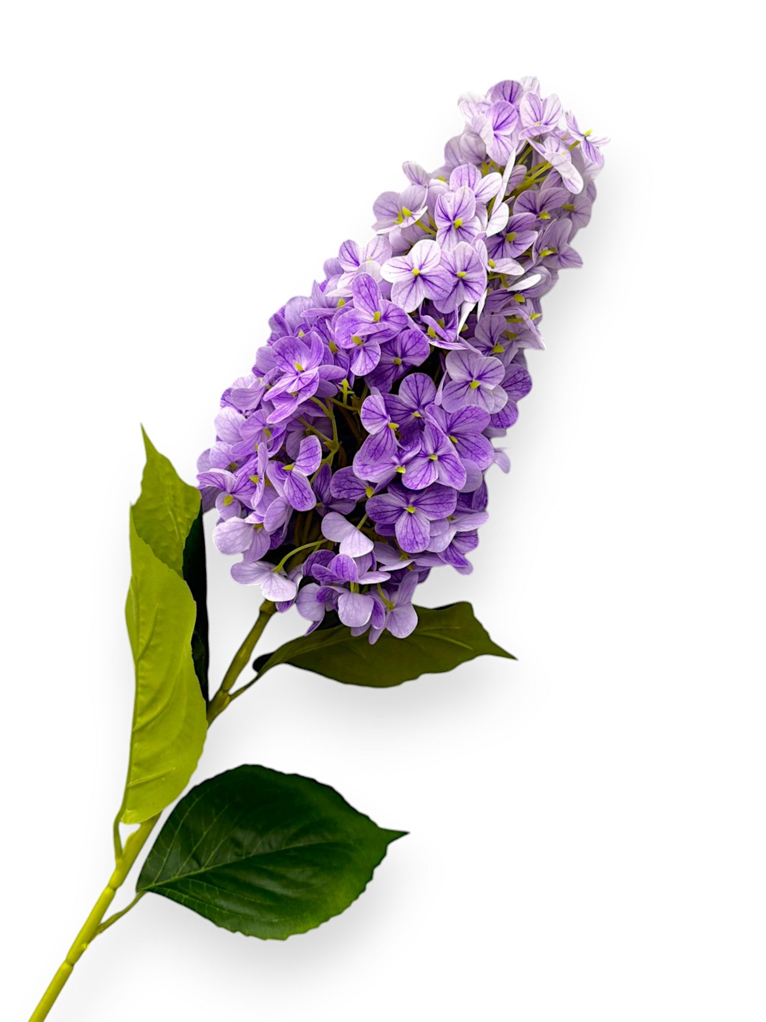 CONE HYDRANGEA NAT. TOUCH 27"