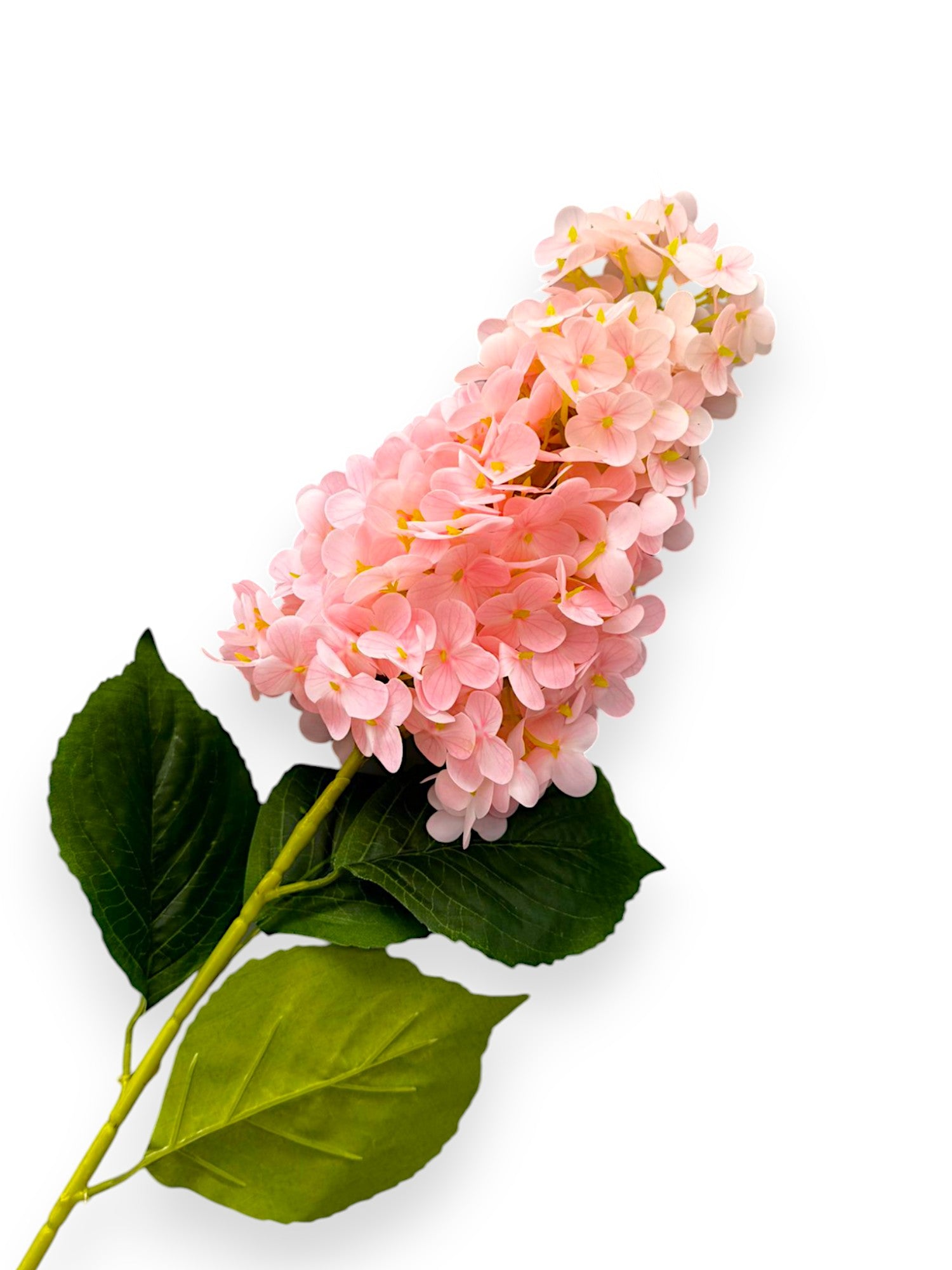 CONE HYDRANGEA NAT. TOUCH 27"