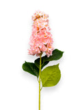 CONE HYDRANGEA NAT. TOUCH 27"