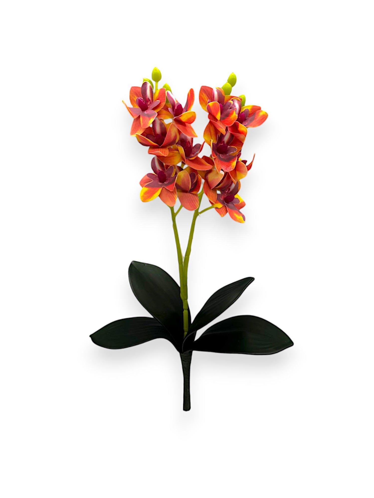 MINI ORCHID BUSH