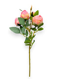 ROSE BUD X4 SPRAY 12"