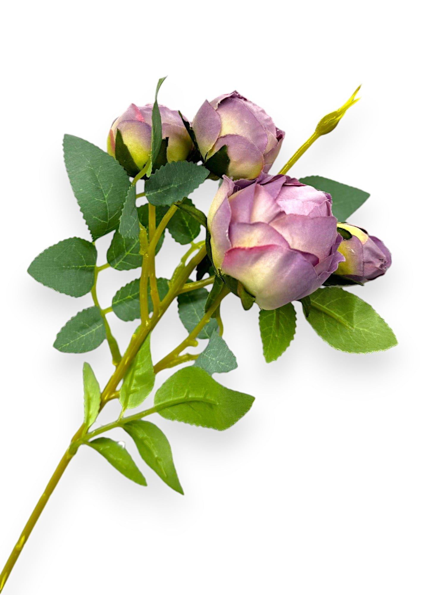 ROSE BUD X4 SPRAY 12"