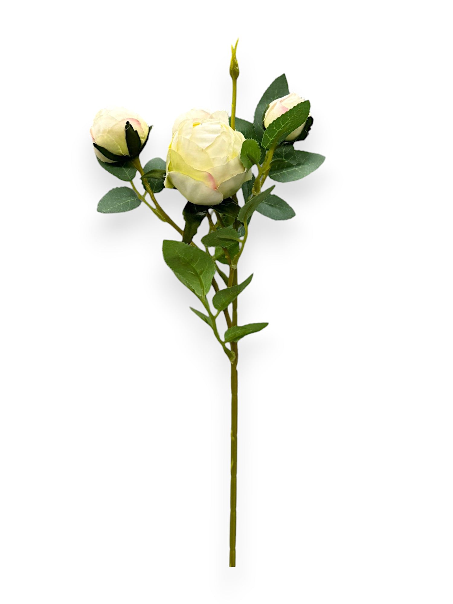 ROSE BUD X4 SPRAY 12"