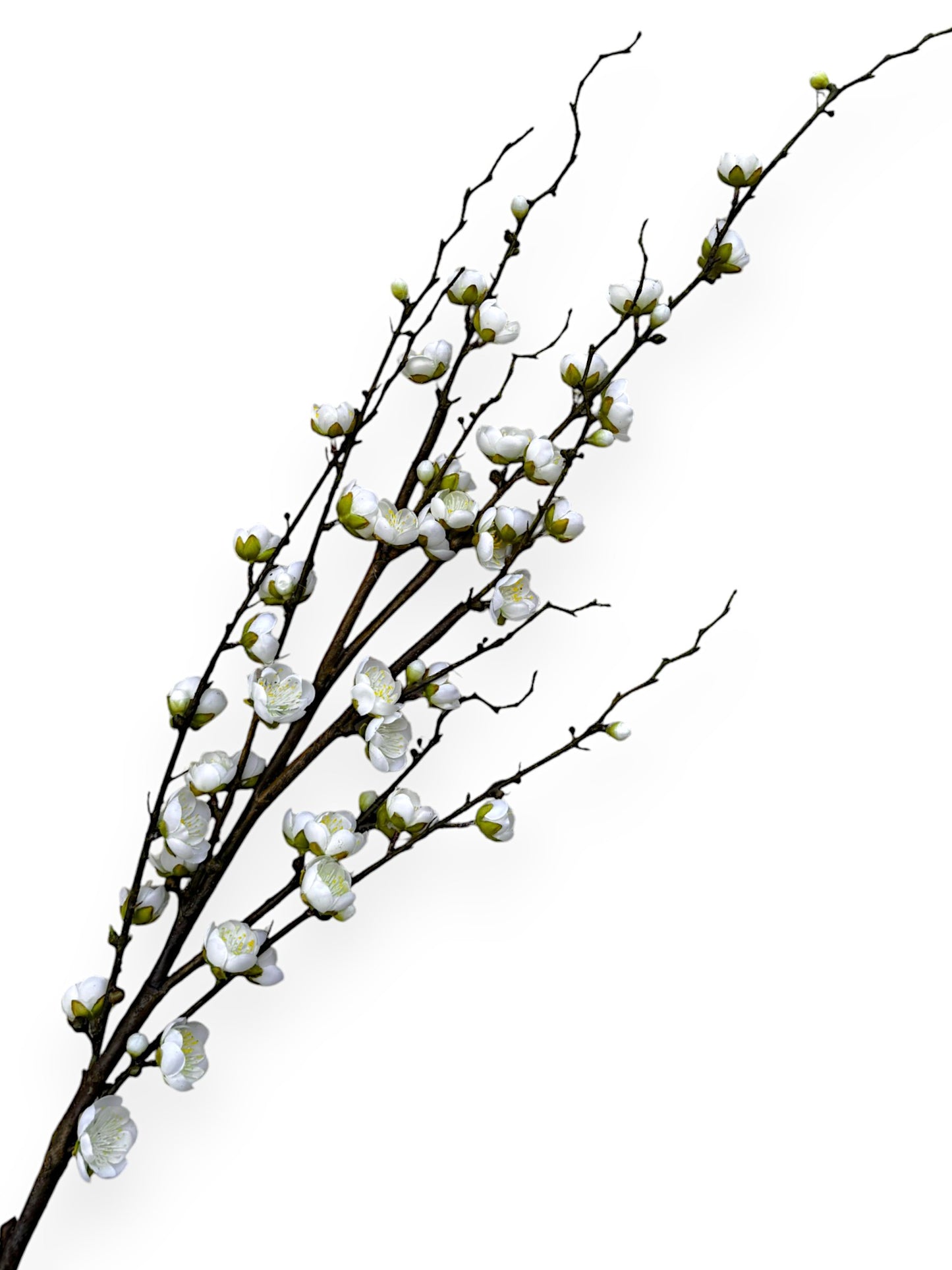 PLUM BLOSSOM BRANCH 42"