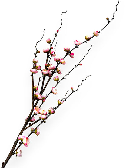 PLUM BLOSSOM BRANCH 42"