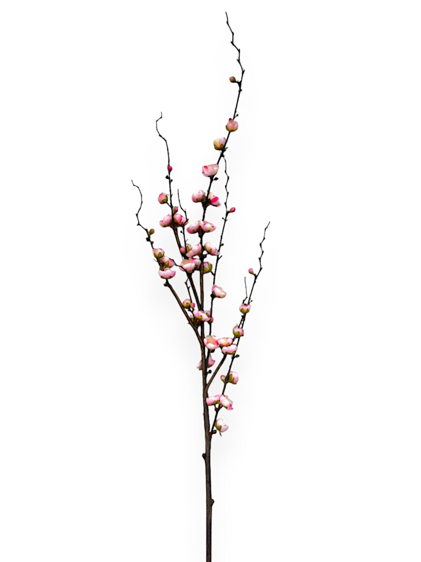 PLUM BLOSSOM BRANCH 42"