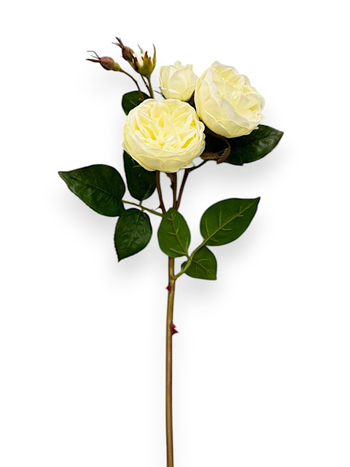 CABBAGE ROSE SPRAY 23.5"