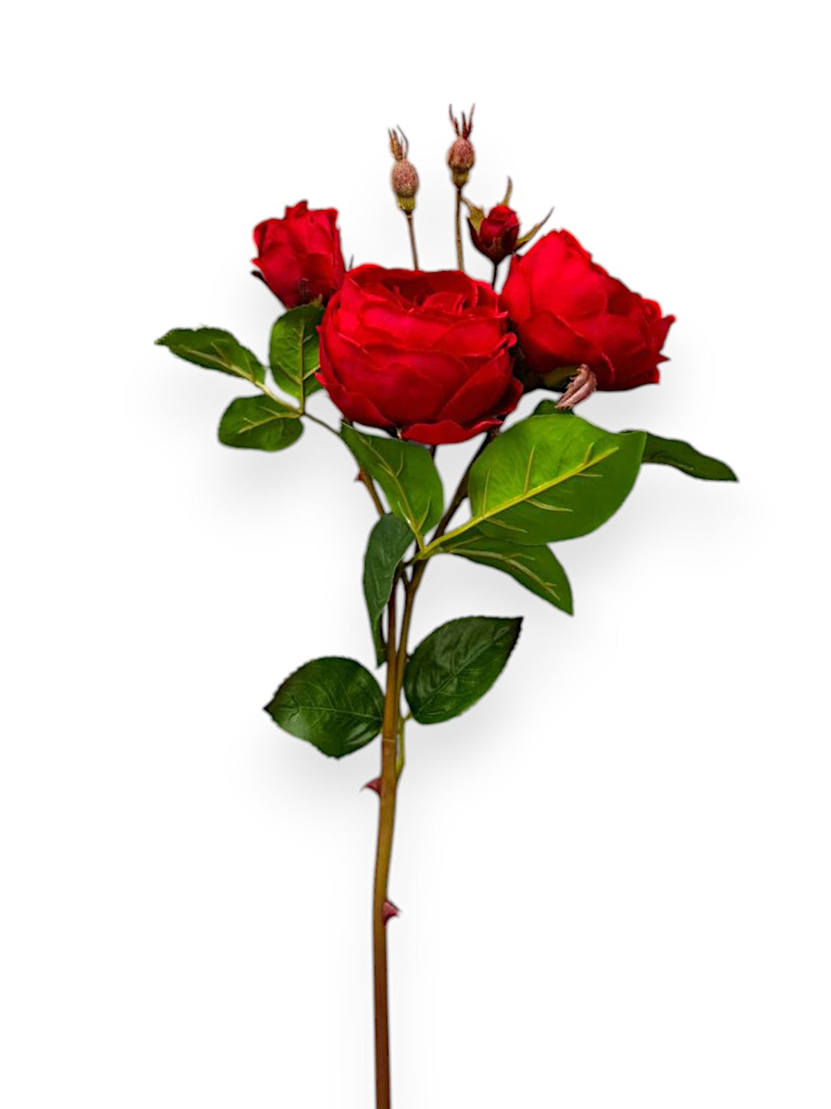 CABBAGE ROSE SPRAY 23.5"