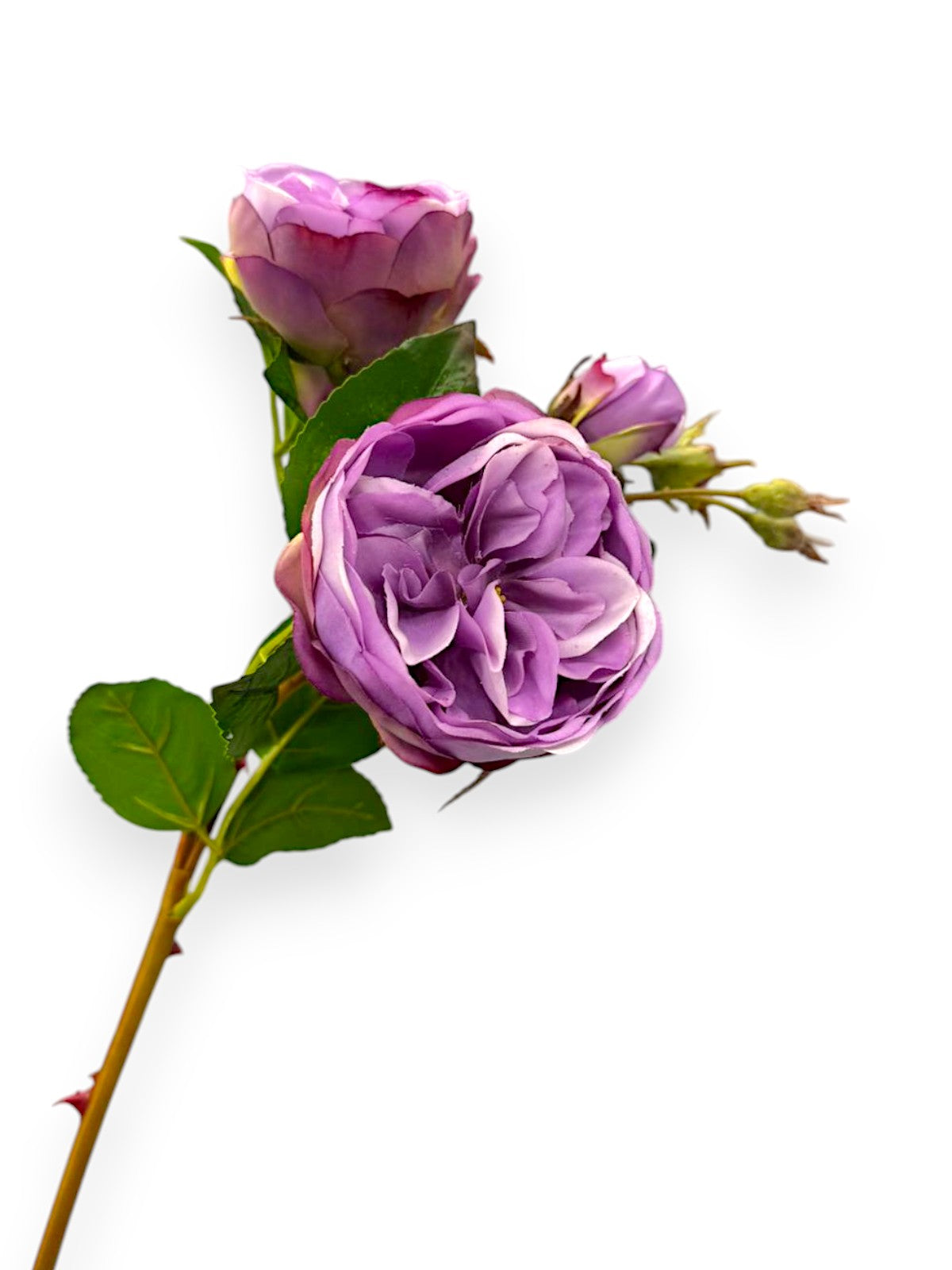 CABBAGE ROSE SPRAY 23.5"