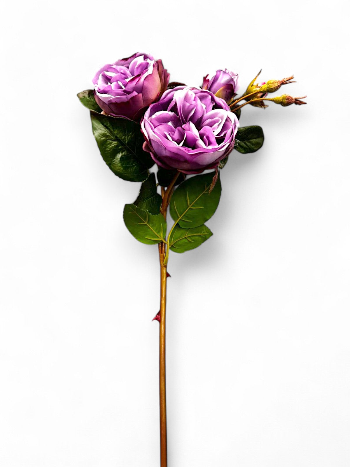 CABBAGE ROSE SPRAY 23.5"