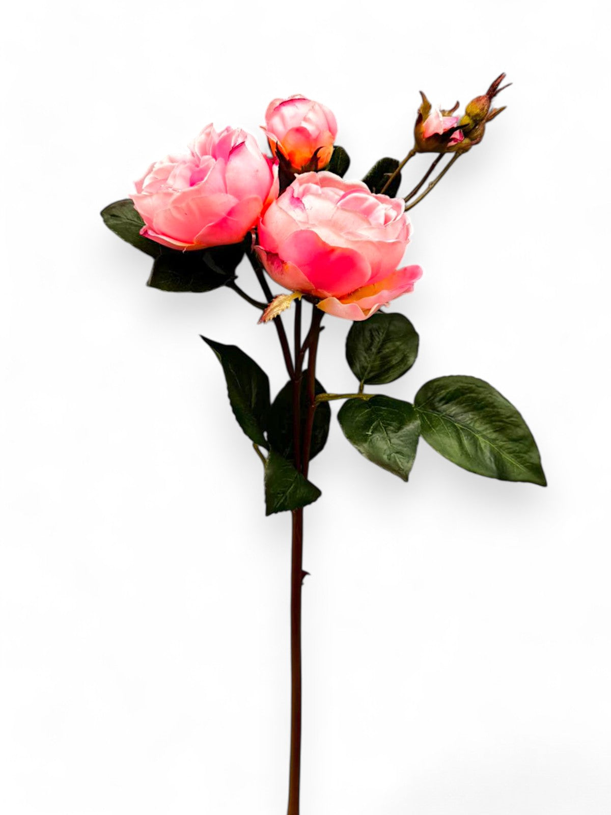 CABBAGE ROSE SPRAY 23.5"