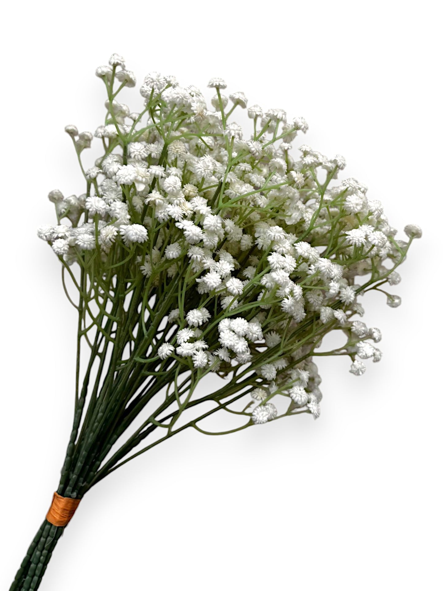 GYPSOPHYLIA BUNDLE 10PCS