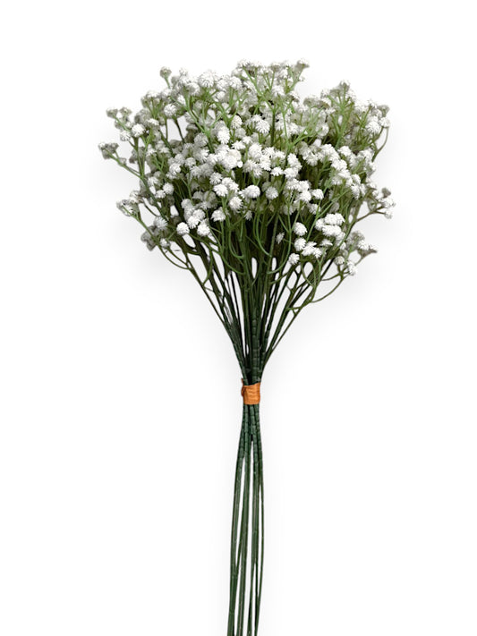 GYPSOPHYLIA BUNDLE 10PCS