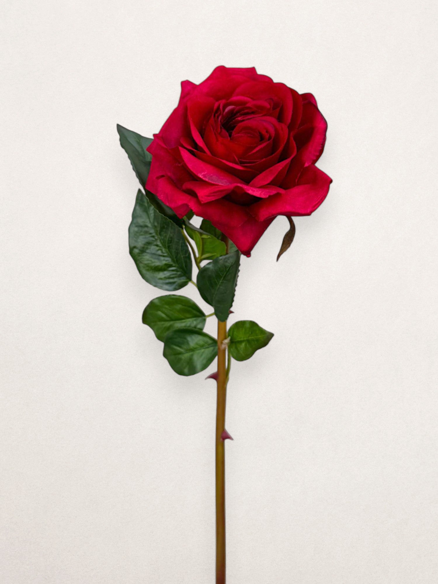 Roses – Chan's Silk Flowers, inc