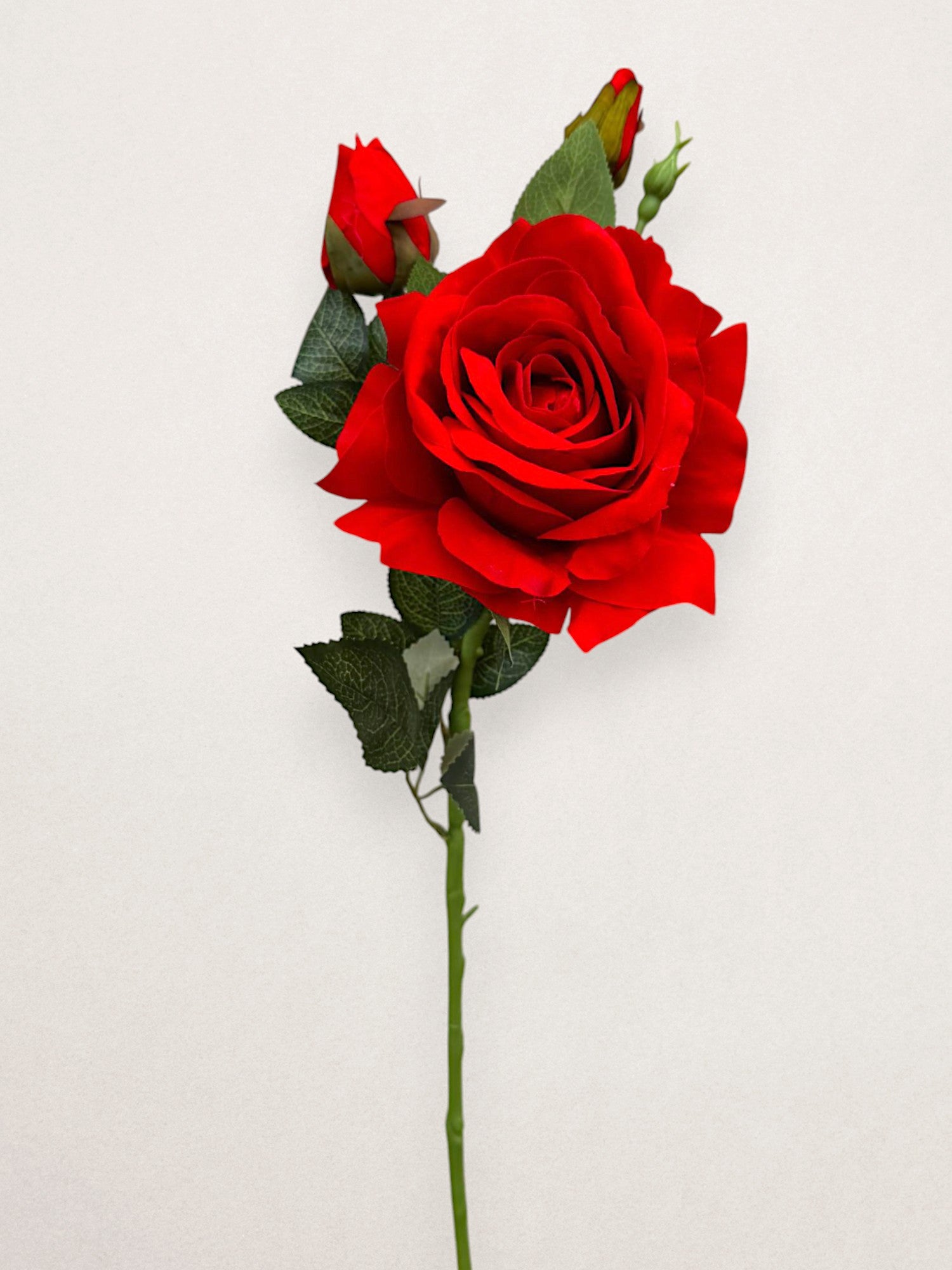 Roses – Chan's Silk Flowers, inc