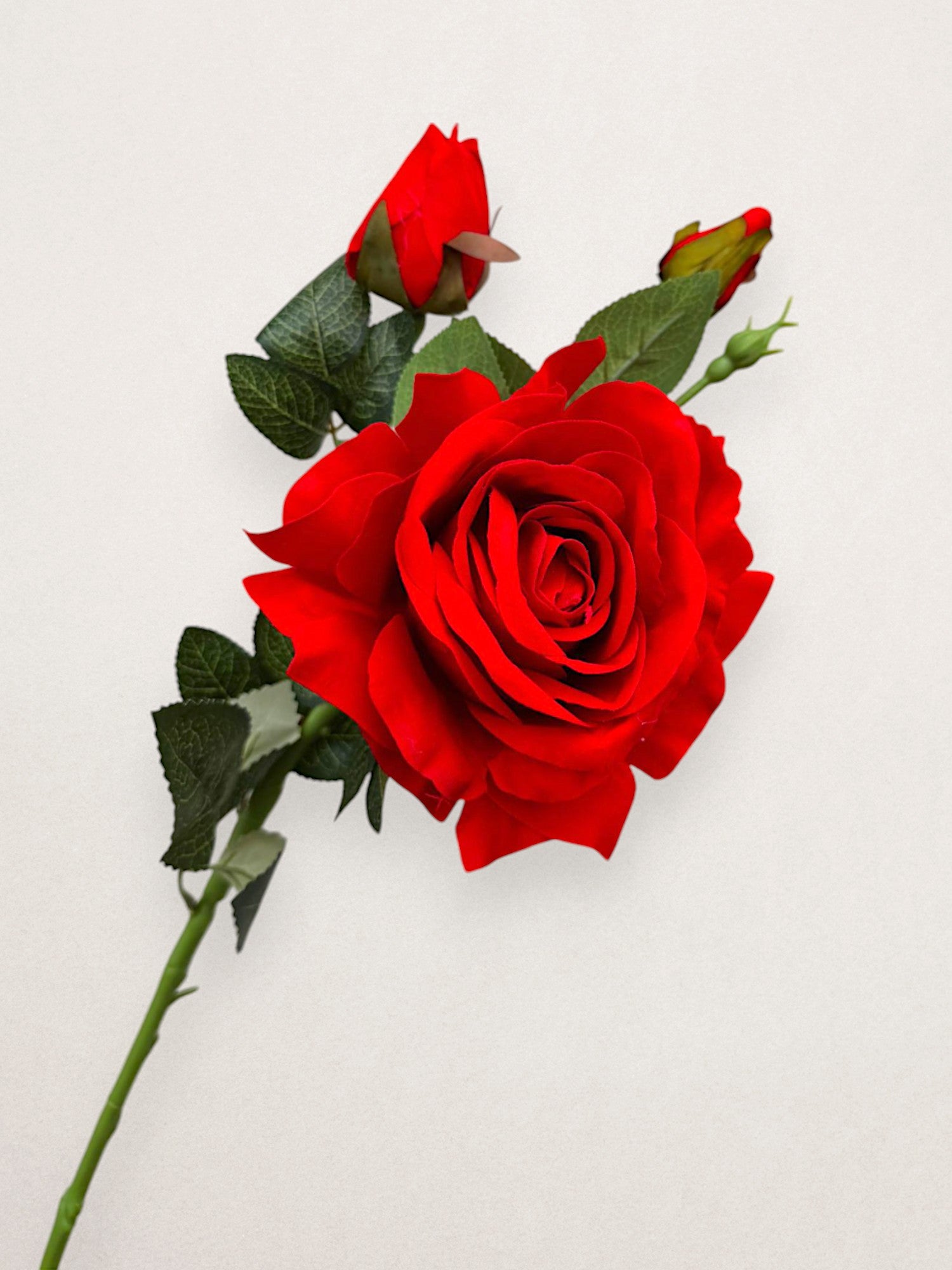 スカート MILK Garden Rose SK Garden Rose SK - MILK MILKBOY OFFICIAL ONLINE SHOP | milk inc.
