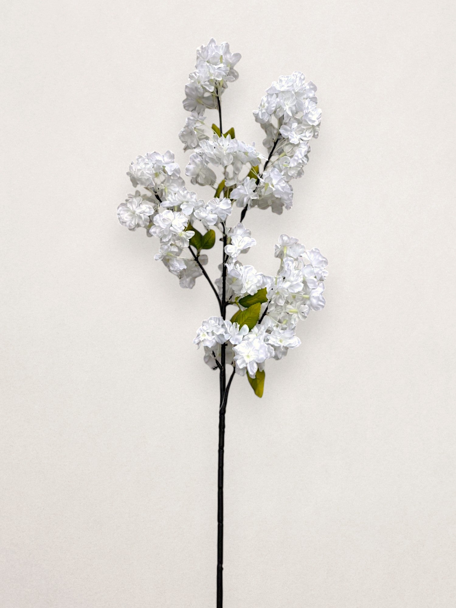 CHERRY BLOSSOM BRANCH 36"