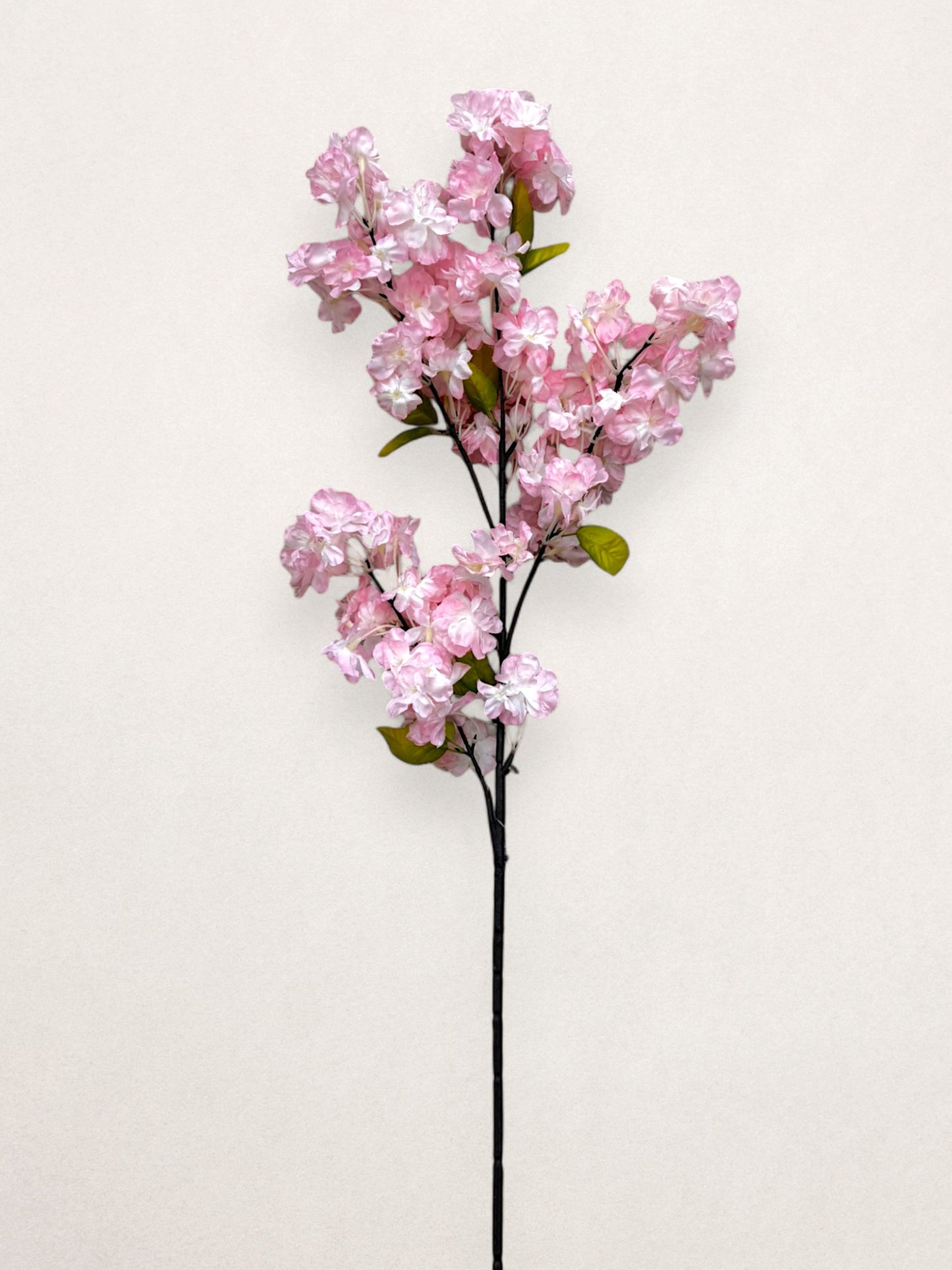 CHERRY BLOSSOM BRANCH 36"